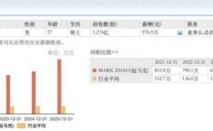 力源信息2026上半年业绩飙升,AI与新能源双轮驱动,美籍董事长薪酬近千万