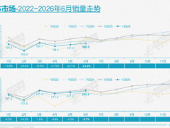 6月车市“哑铃”格局凸显：A0级与高端车逆势上扬，分化时代来临