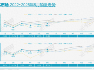 6月车市“哑铃”格局凸显：A0级与高端车逆势上扬，分化时代来临
