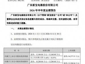 新宝股份业绩下滑内外交困，董事长郭建刚能否引领企业走出困境？