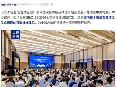 国内首个智能体全生命周期互联标准体系发布 2000余智能体获“数字身份证”