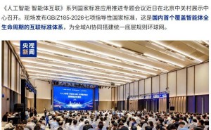 国内首个智能体全生命周期互联标准体系发布 2000余智能体获“数字身份证”