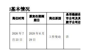 申达股份总经理李捷因工作变动离任 董事长暂代 2.13亿定增股将流通股价承压
