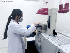 HQTS汉斯曼ISTA测试全解析：应用场景与服务商选型关键要素