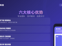 软件开发企业选型指南：以慧兴网络科技为例解析适配标准与边界