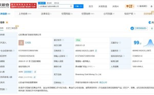 山东黄金高层变动：韩耀东卸任董事长 王成龙接棒开启新篇章
