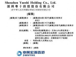 粤十数智更新港股招股书：前四月营收大增，董事长陈彬彬履历亮眼薪酬引关注