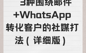 邮件+WhatsApp双剑合璧：三套社媒组合拳，精准转化客户的实战指南