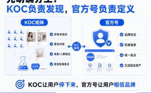 出海品牌TikTok营销指南:KOC矩阵与官方号如何构建高效内容接力系统