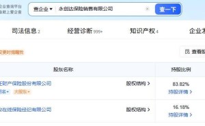 高云获批担任永创达保险销售董事长 国任财险为第一大股东