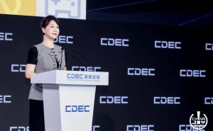 世纪华通谢斐：AI成基础工具 全球化出海锚定策略模拟与休闲赛道