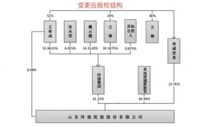 玲珑轮胎董事长王锋辞任总裁后 0元转让超10亿股权予妻子戴云霞