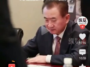 王健林债务危机升级，万达困境难解，王思聪海外逍遥引关注