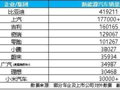 比亚迪7月成绩亮眼：新能源持续领跑 高端与海外双线强势增长