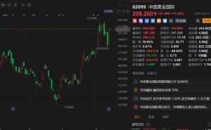 港股异动丨中国黄金国际大涨超11% 半年报超预期，多项核心财务指标创下历史新高