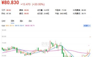 两连板！中际旭创出手了
