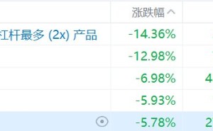 港股存储芯片股集体下挫，2倍做多海力士跌超14%