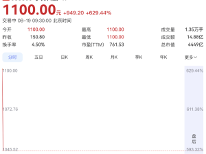 宇树科技科创板上市首日市值飙升，王兴兴成90后新首富，人形机器人前景可期