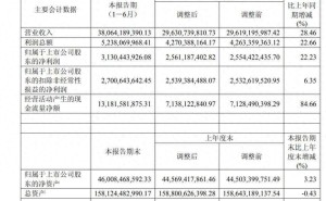 正泰电器2026上半年业绩飘红，营收净利双增，董事长南存辉薪酬情况曝光
