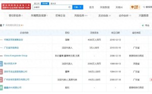 许家印关联多家企业 部分存续却身负多条限制消费令信息