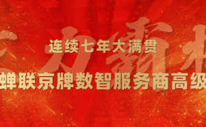 灵狐连续7年揽获京牌数智服务商全赛道高级认证 领跑AI驱动数智化营销赛道