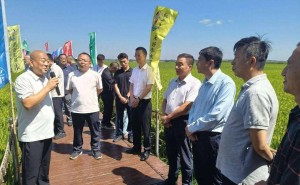 新电商浪潮涌动 吉林品牌借势腾飞 共绘数字时代新画卷