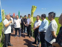 新电商浪潮涌动 吉林品牌借势腾飞 共绘数字时代新画卷