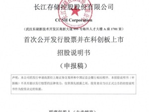 长江存储科创板IPO获受理：无实控人格局下，65岁陈南翔掌舵领航
