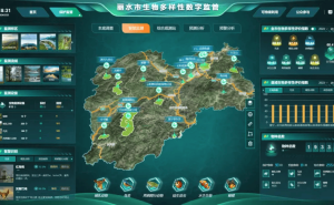 红外相机助力生物多样性保护：从科学布设到智慧管理全链条解析