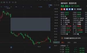 A股异动丨壹连科技大跌近12% 半年报“增收不增利” 二季度盈利恶化