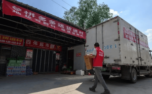拼多多Q2财报亮眼，研发与供应链双轮驱动开启电商新篇章