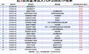 ETF资金榜|货币ETF近5日强势“吸金”，银华日利ETF、华宝添益ETF净流入额居前