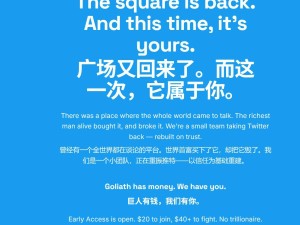 前推特法律顾问创立Twitter.now欲复刻旧体验，马斯克旗下X平台法院阻击