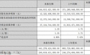 比亚迪2026上半年营收净利双降 闪充站达万座 60岁王传福年薪813.9万