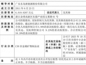 广东东岛启动IPO辅导备案：实控人吴其修家族持股显著 客户集中度高