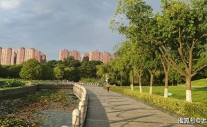 巅峰退场非认输：库克卸任启示，老板们何时该交出权杖？