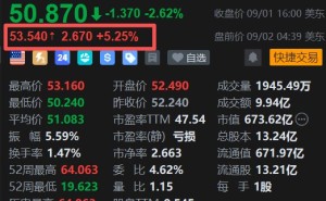 美股异动丨慧与科技盘前涨超5%，戴尔财报验证AI服务器需求强劲，市场押注其财报同样亮眼
