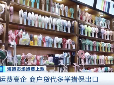 中东航线海运价飙升超五成 商户货代积极应对“一舱难求”困境
