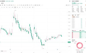 A股异动｜康欣新材一字跌停 定期报告涉嫌信披违法违规