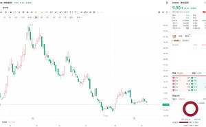 A股异动｜神剑股份低开约4% 副总经理被证监会立案调查！涉嫌内幕交易