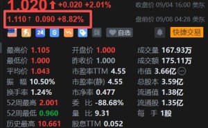 美股异动丨水滴盘前涨近9%静待中报，市场关注技术服务收入高增长能否持续