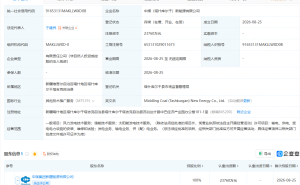 中国中煤在塔什库尔干成立新能源公司，注册资本2.38亿