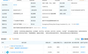 智光电气等成立新能源投资公司