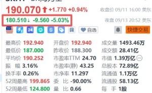 美股AI芯片股夜盘全线下挫，闪迪、SK海力士、康宁跌超5%，美光跌超4%，三大AI巨头呼吁放缓AI模型研发