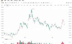 日韩AI芯片股重挫！软银集团大跌超12%，铠侠跌近10%