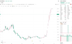 A股异动｜闽东电力跌停 10天翻倍后紧急提示称未开展算电协同业务
