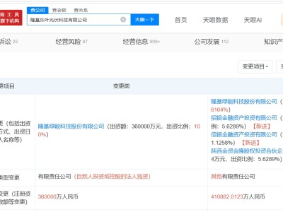 隆基绿能旗下乐叶光伏科技公司增资至41.1亿 增幅约14%