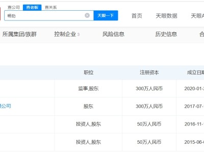 王玉雯杨玏暂无商业关联