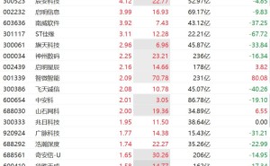 A股网络安全概念震荡拉升 中新赛克5天3板