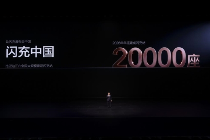 图10-闪充中国战略